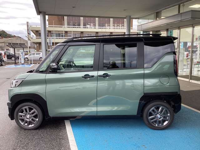 DELICA MINI