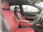 LEXUS RX500h