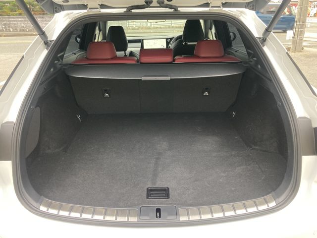 LEXUS RX500h