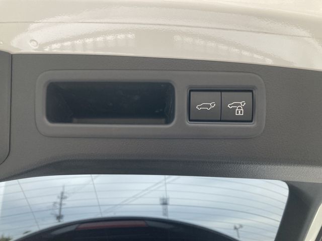 LEXUS RX500h