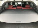 LEXUS RX500h