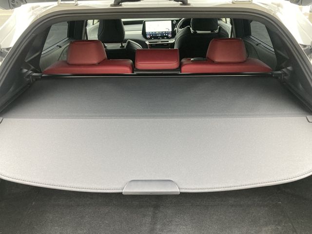 LEXUS RX500h