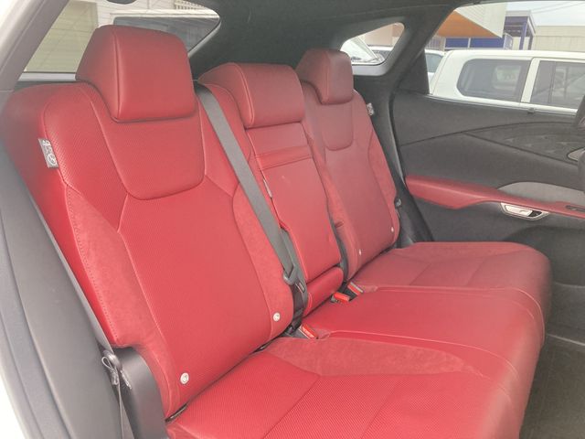 LEXUS RX500h
