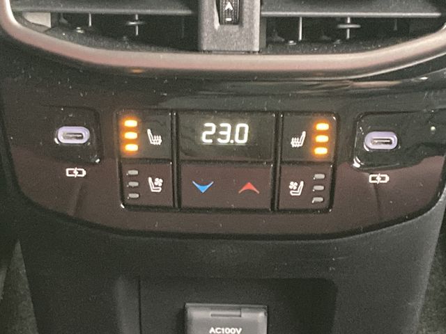 LEXUS RX500h