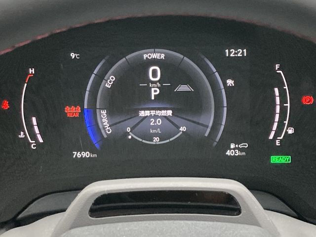 LEXUS RX500h