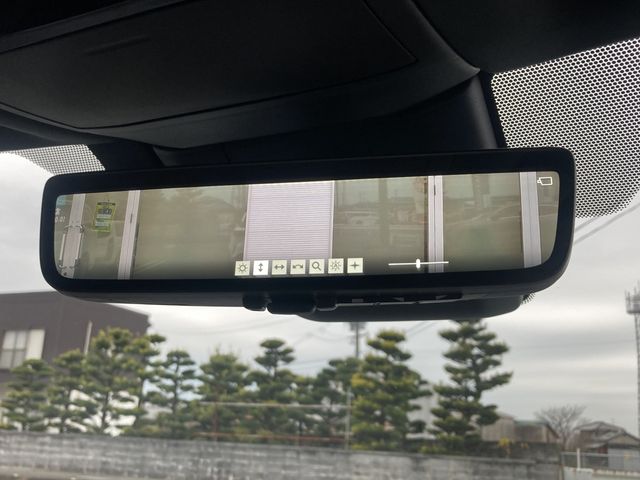 LEXUS RX500h