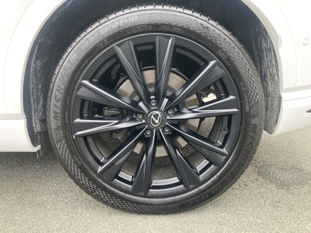 LEXUS RX500h