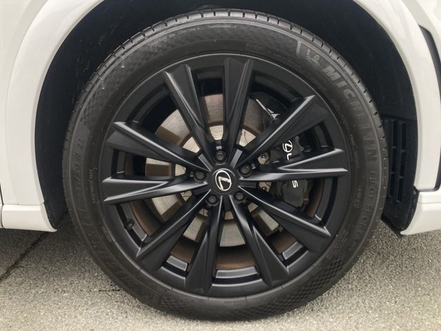 LEXUS RX500h