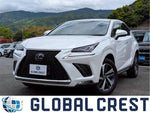 LEXUS NX300