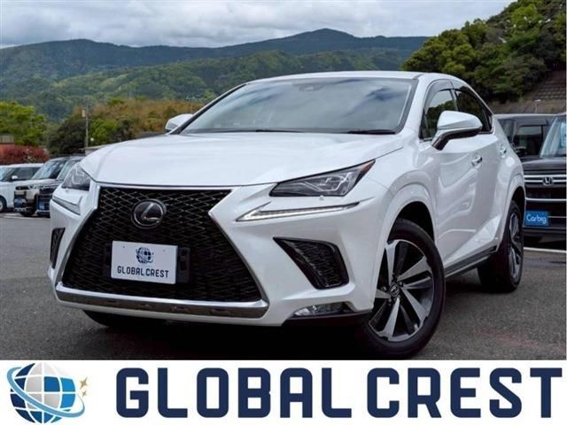 LEXUS NX300
