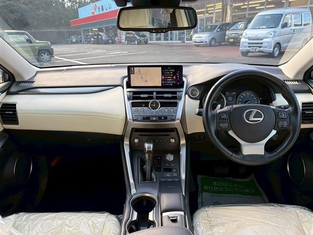 LEXUS NX300