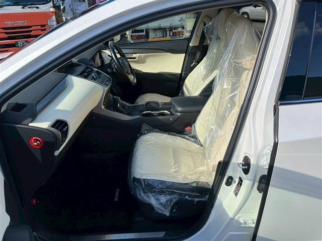 LEXUS NX300