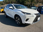 LEXUS NX300