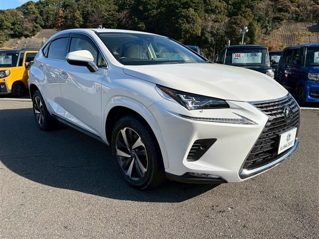 LEXUS NX300