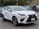 LEXUS NX300