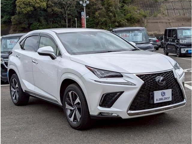 LEXUS NX300