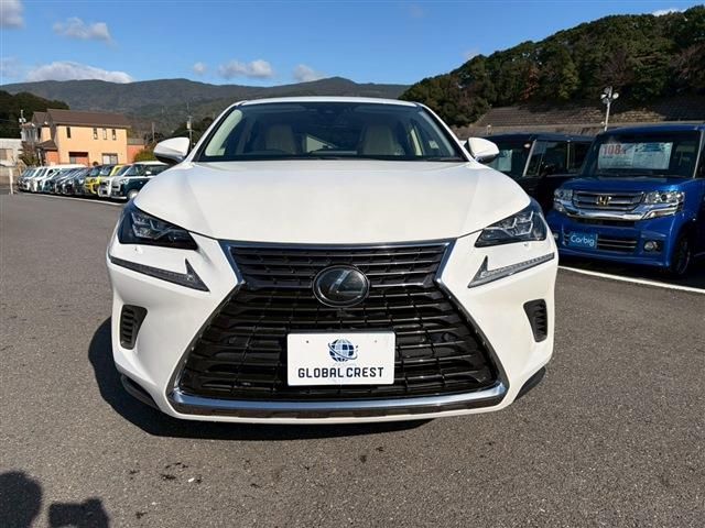 LEXUS NX300