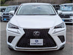 LEXUS NX300