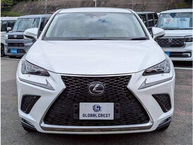 LEXUS NX300