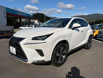 LEXUS NX300
