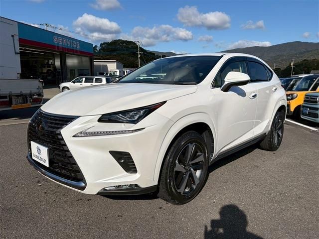 LEXUS NX300