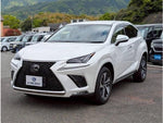 LEXUS NX300