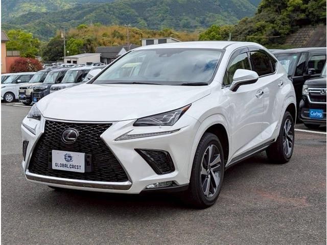 LEXUS NX300