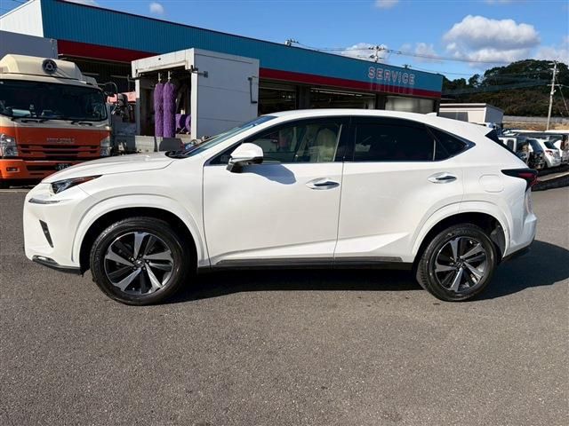 LEXUS NX300