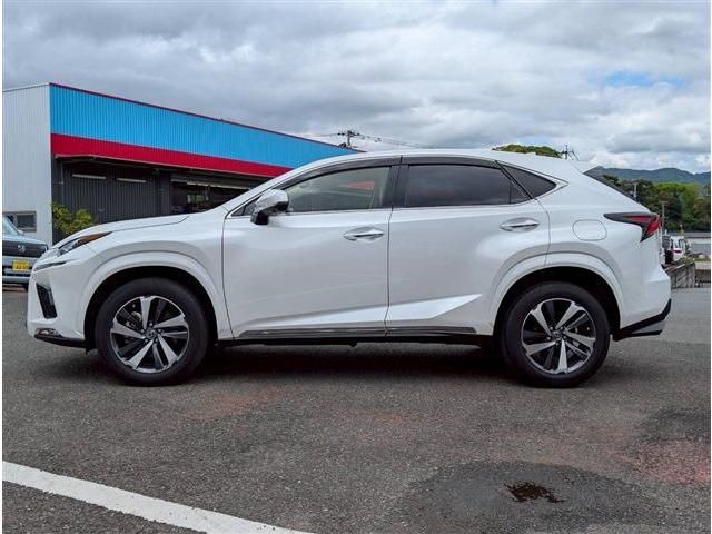 LEXUS NX300