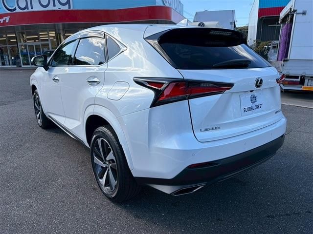 LEXUS NX300