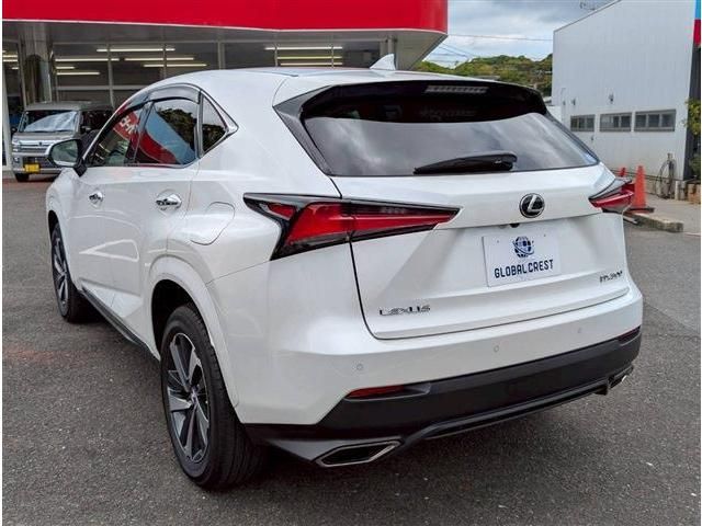 LEXUS NX300