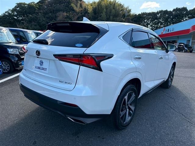 LEXUS NX300