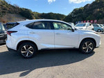 LEXUS NX300