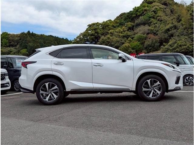 LEXUS NX300
