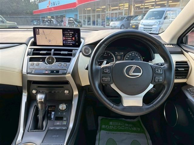LEXUS NX300