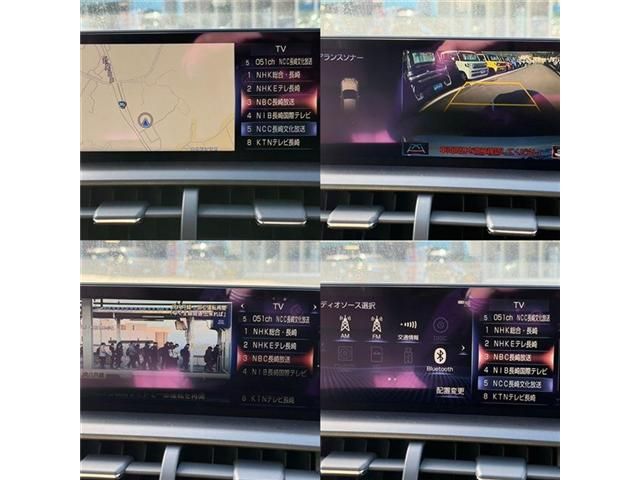 LEXUS NX300