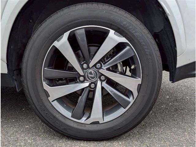 LEXUS NX300