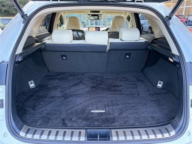 LEXUS NX300