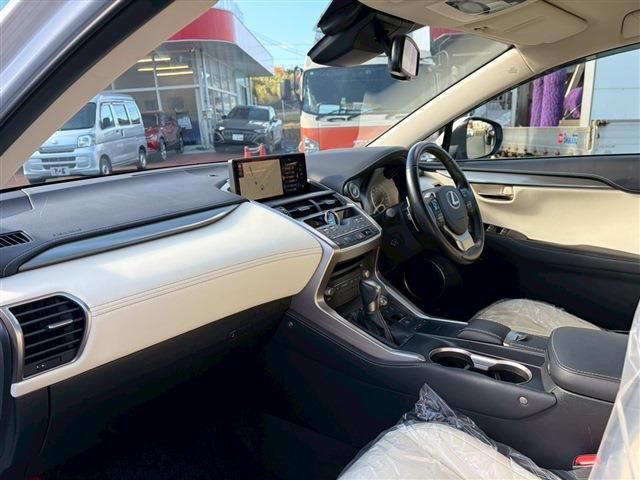 LEXUS NX300