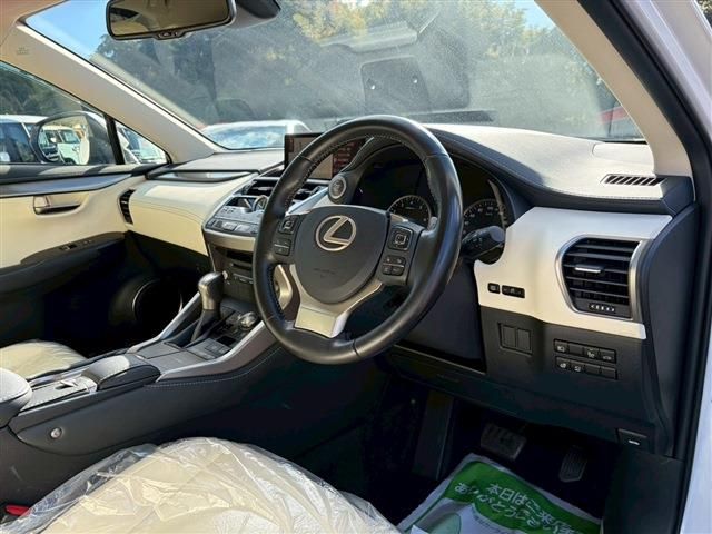 LEXUS NX300