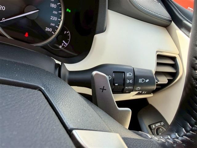 LEXUS NX300