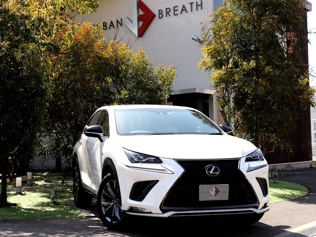LEXUS NX300