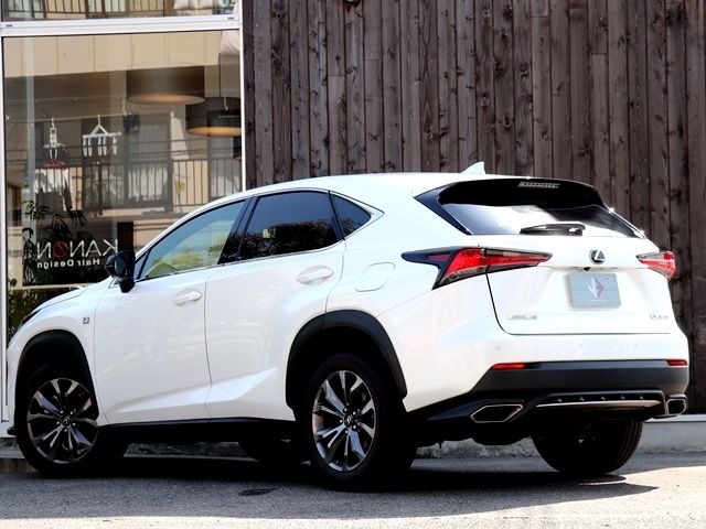 LEXUS NX300