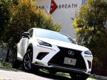 LEXUS NX300