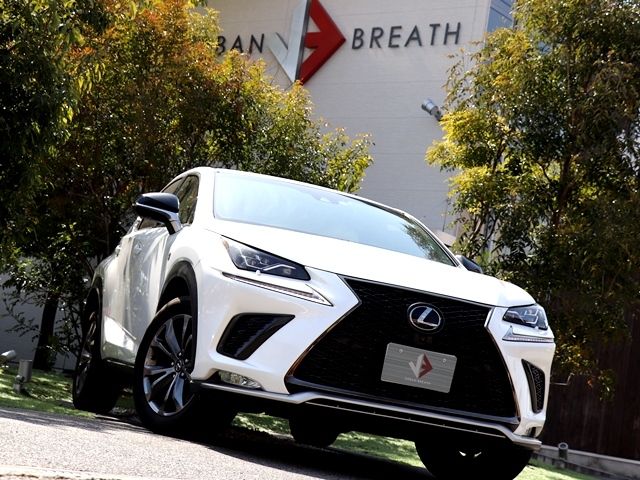 LEXUS NX300