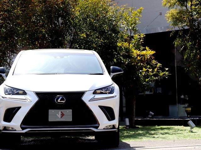 LEXUS NX300