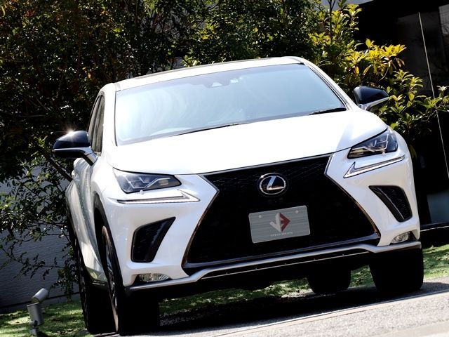 LEXUS NX300