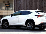 LEXUS NX300