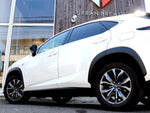 LEXUS NX300