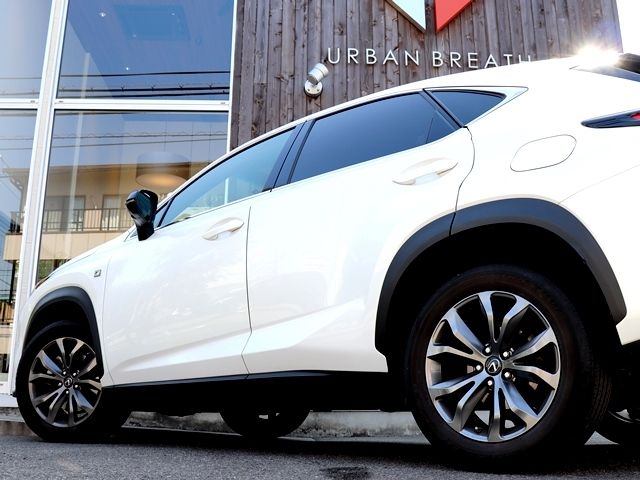 LEXUS NX300